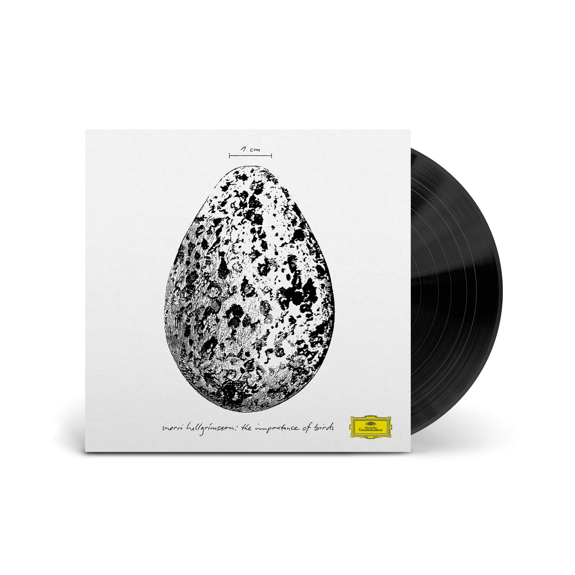 Snorri Hallgrímsson The Importance of Birds 1LP 411865