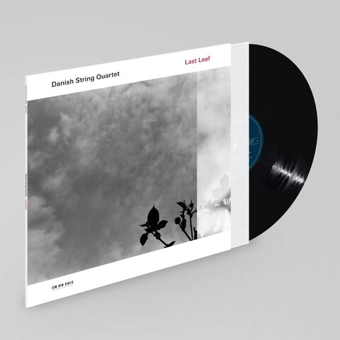 Last Leaf von Danish String Quartet - LP jetzt im Deutsche Grammophon Store