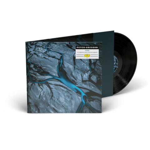 Patina (Vinyl) by Peter Gregson - Vinyl - shop now at Deutsche Grammophon store